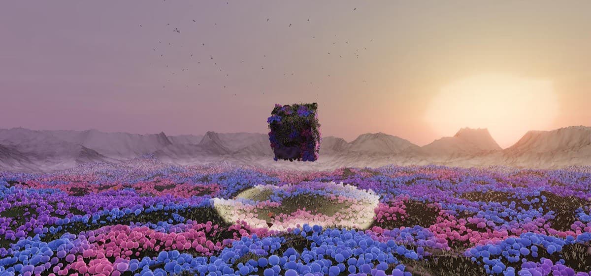 Flower Field